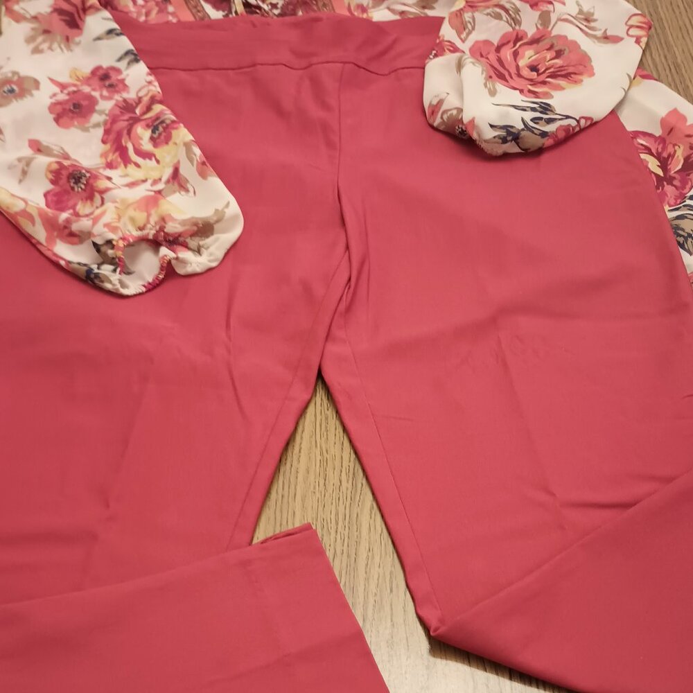 Chico's Size 16 (3) Rust Ankle Pants (EUC)